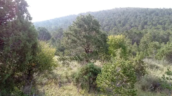 Terreno en venta en Jame, Arteaga — foto 3 de 4