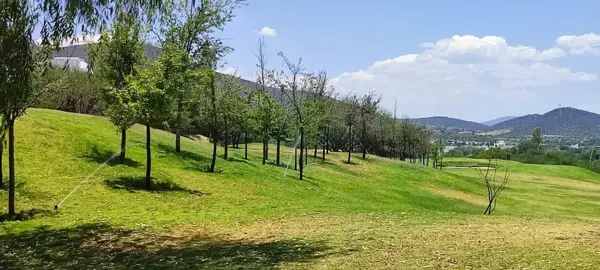 Terreno en venta en El Encino, Huimilpan — foto 2 de 8