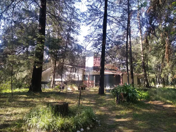 Casa en venta en Bosque de Cuauhyocan, Amozoc — foto 3 de 18