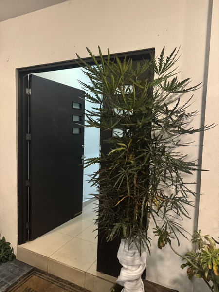 Casa en venta en La Rioja Privada Residencial, Monterrey — foto 2 de 21