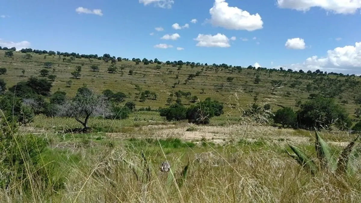 Terreno en venta en Delicias, Atltzayanca — foto 1 de 17