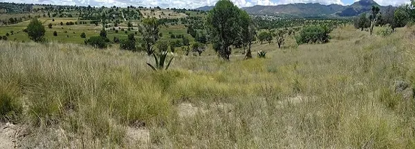 Terreno en venta en Delicias, Atltzayanca — foto 3 de 17