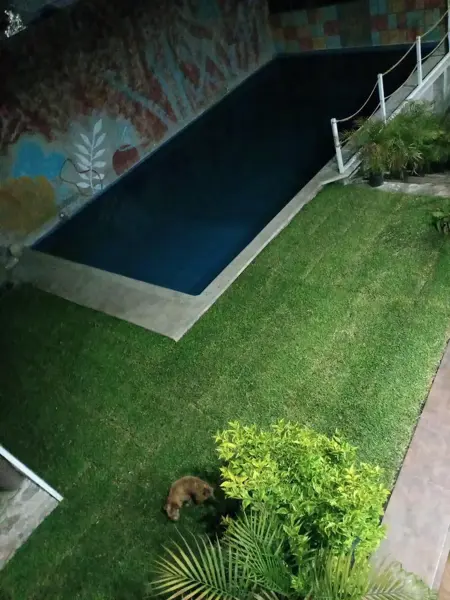 Casa en venta en Tezoyuca, Emiliano Zapata — foto 2 de 21