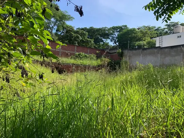 Terreno en venta en La Estanzuela, Emiliano Zapata — foto 3 de 6