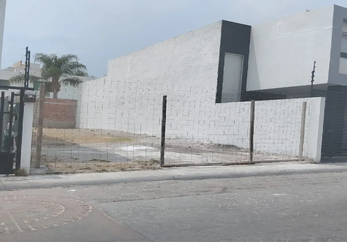 Imagen 2