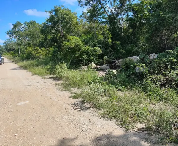 Terreno en venta en Centro Hunucmá, Hunucmá — foto 3 de 4
