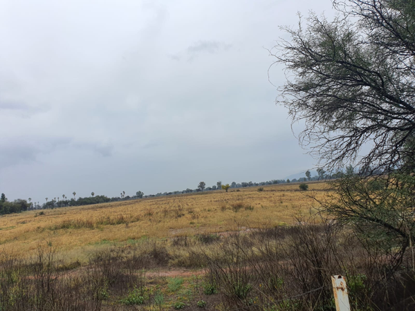 Terreno en venta en Luis Moya Centro, Luis Moya — foto 3 de 4