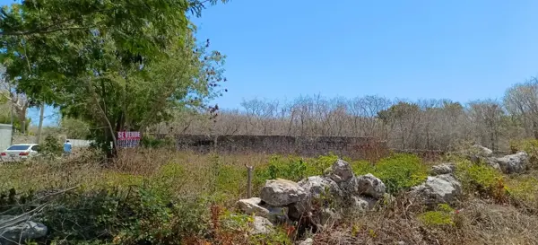 Terreno en venta en Cholul, Mérida — foto 3 de 3