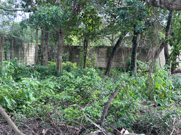 Terreno en venta en El Pedregal, Playa del Carmen — foto 3 de 4