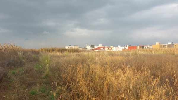 Terreno en venta en San Miguel Totocuitlapilco, Metepec — foto 2 de 2