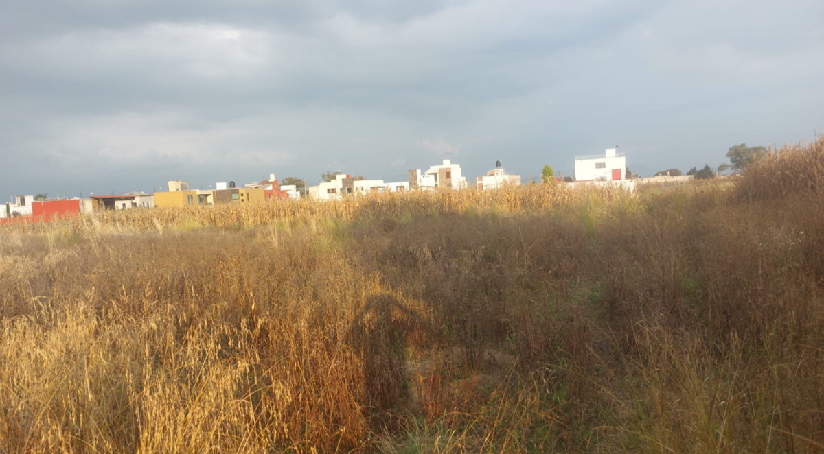 Terreno en venta en San Miguel Totocuitlapilco, Metepec — foto 1 de 2