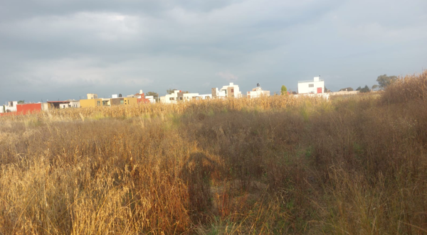 Terreno en San Miguel Totocuitlapilco, Metepec, México