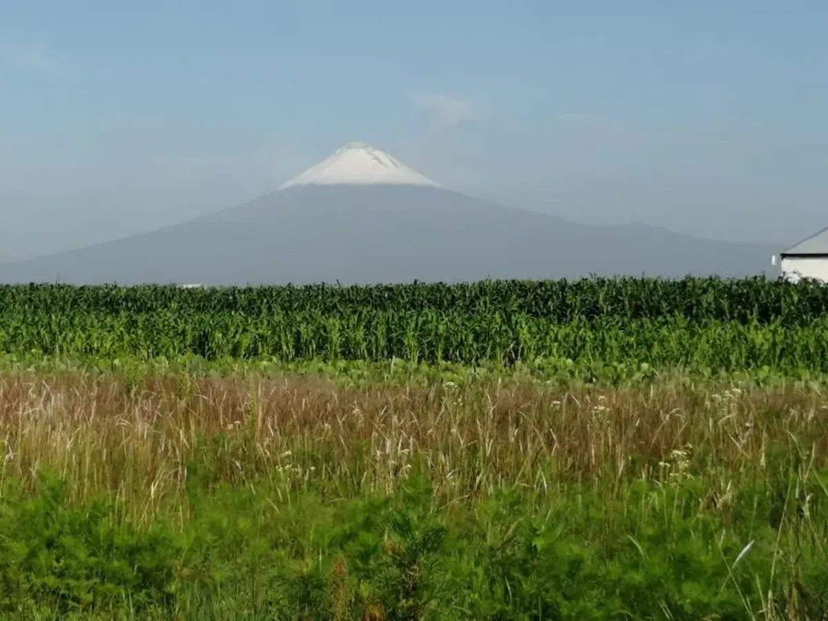 Terreno en venta en San Antonio Cacalotepec, San Andrés Cholula — foto 1 de 16