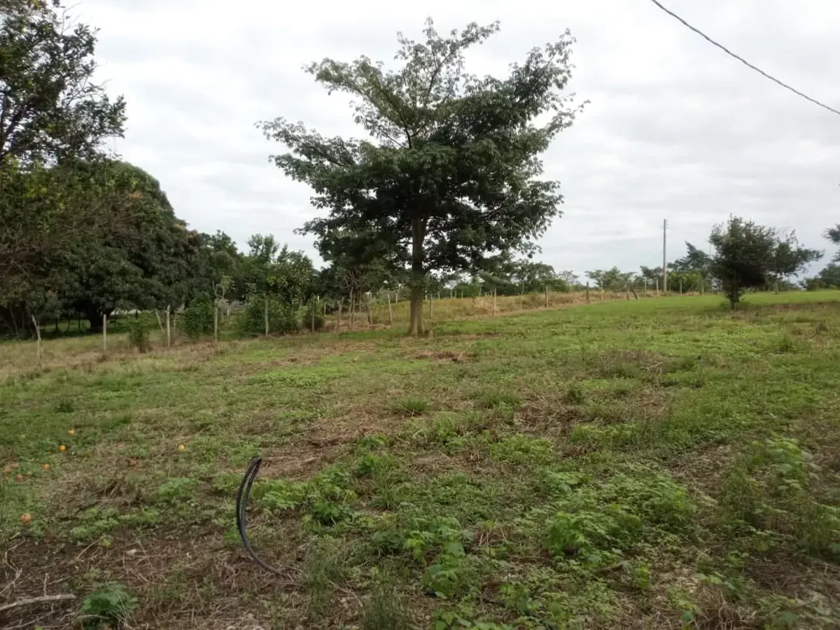 Terreno en venta en Pueblo Nuevo de las Raíces, Centro — foto 1 de 9