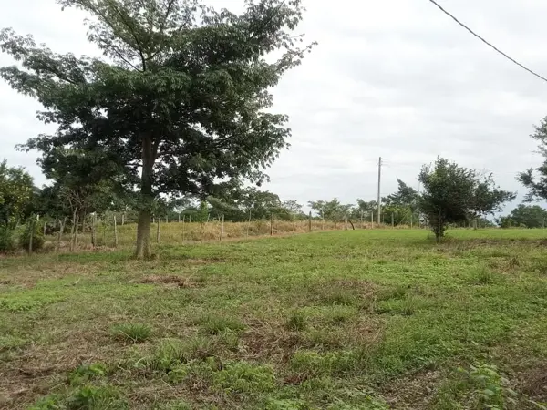 Terreno en venta en Pueblo Nuevo de las Raíces, Centro — foto 2 de 9