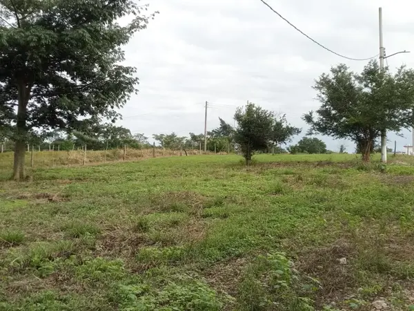 Terreno en venta en Pueblo Nuevo de las Raíces, Centro — foto 3 de 9
