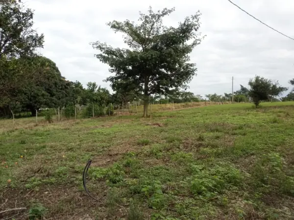 Terreno en venta en Pueblo Nuevo de las Raíces, Centro — foto 3 de 9