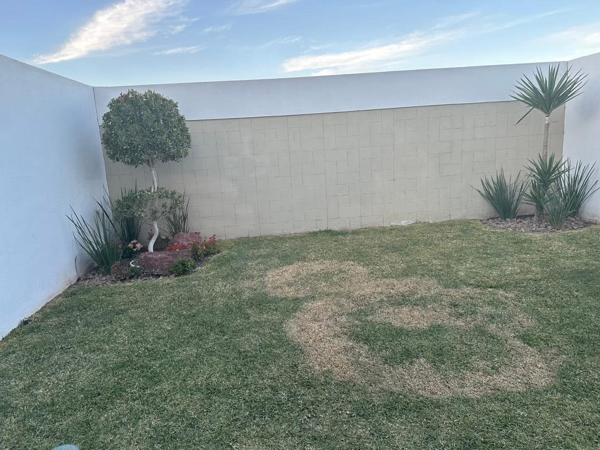 Casa en venta en Los Viñedos, Torreón — foto 3 de 14