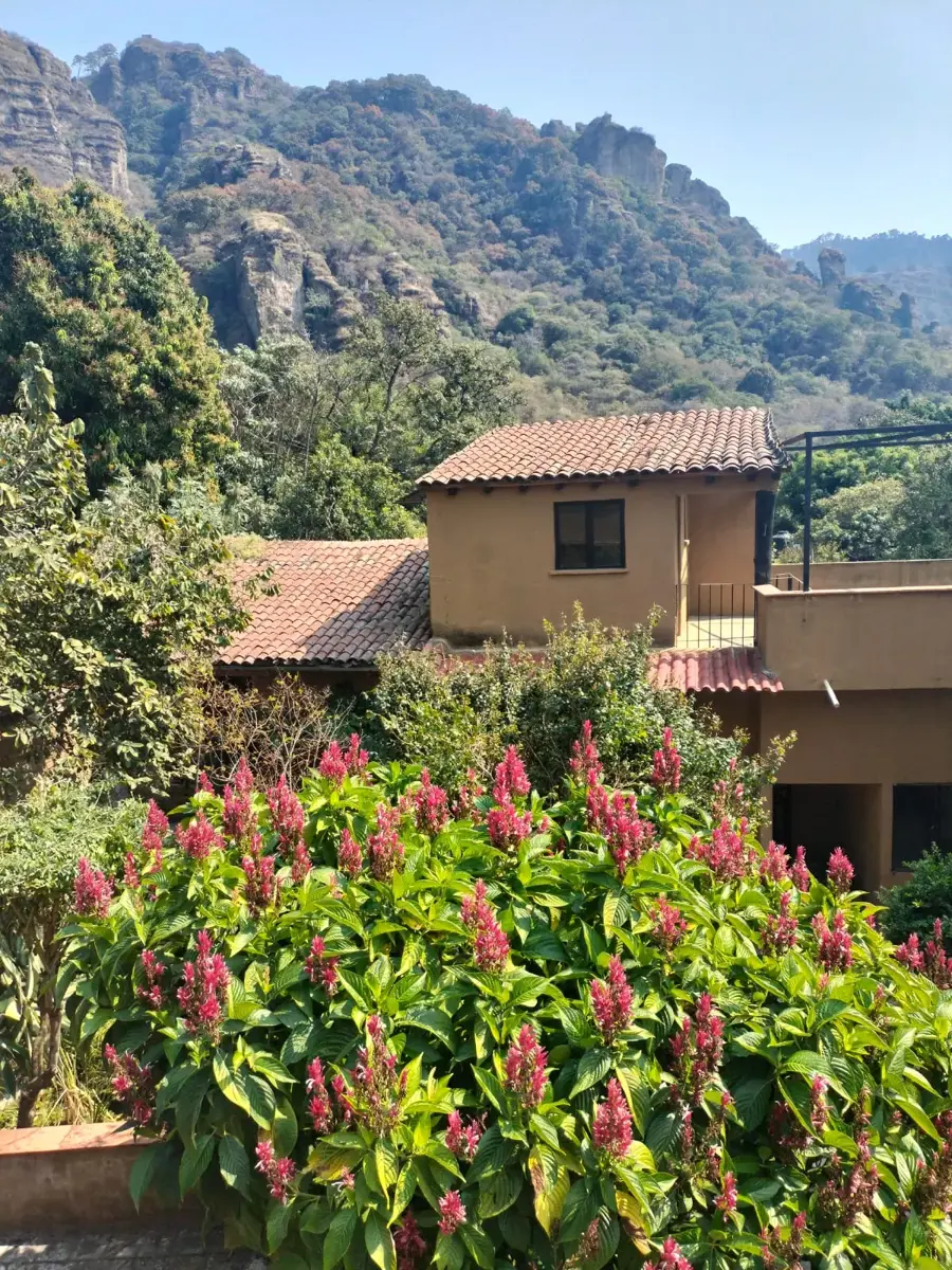 Casa en venta en Amatlán de Quetzalcóatl, Tepoztlán — foto 1 de 21