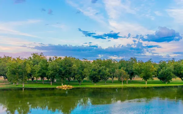 Terreno en venta en Valle de Parras, Parras — foto 3 de 10