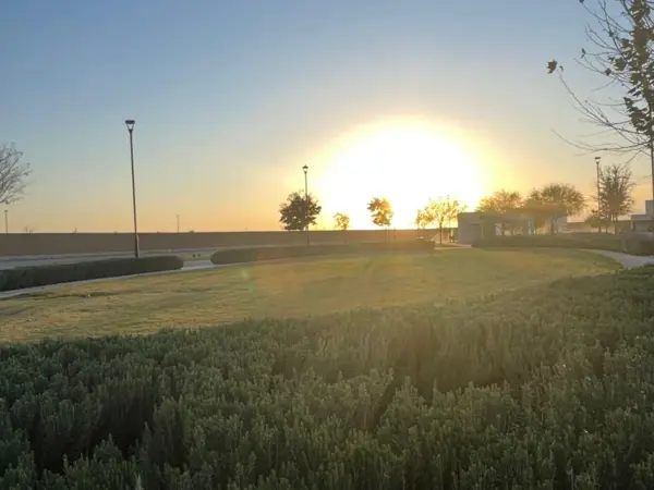 Terreno en venta en El Cardenchal, Torreón — foto 3 de 7