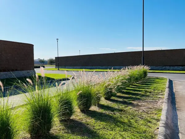 Terreno en venta en El Cardenchal, Torreón — foto 3 de 8
