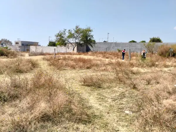 Terreno en venta en Las Minas, Atlatlahucan — foto 2 de 4
