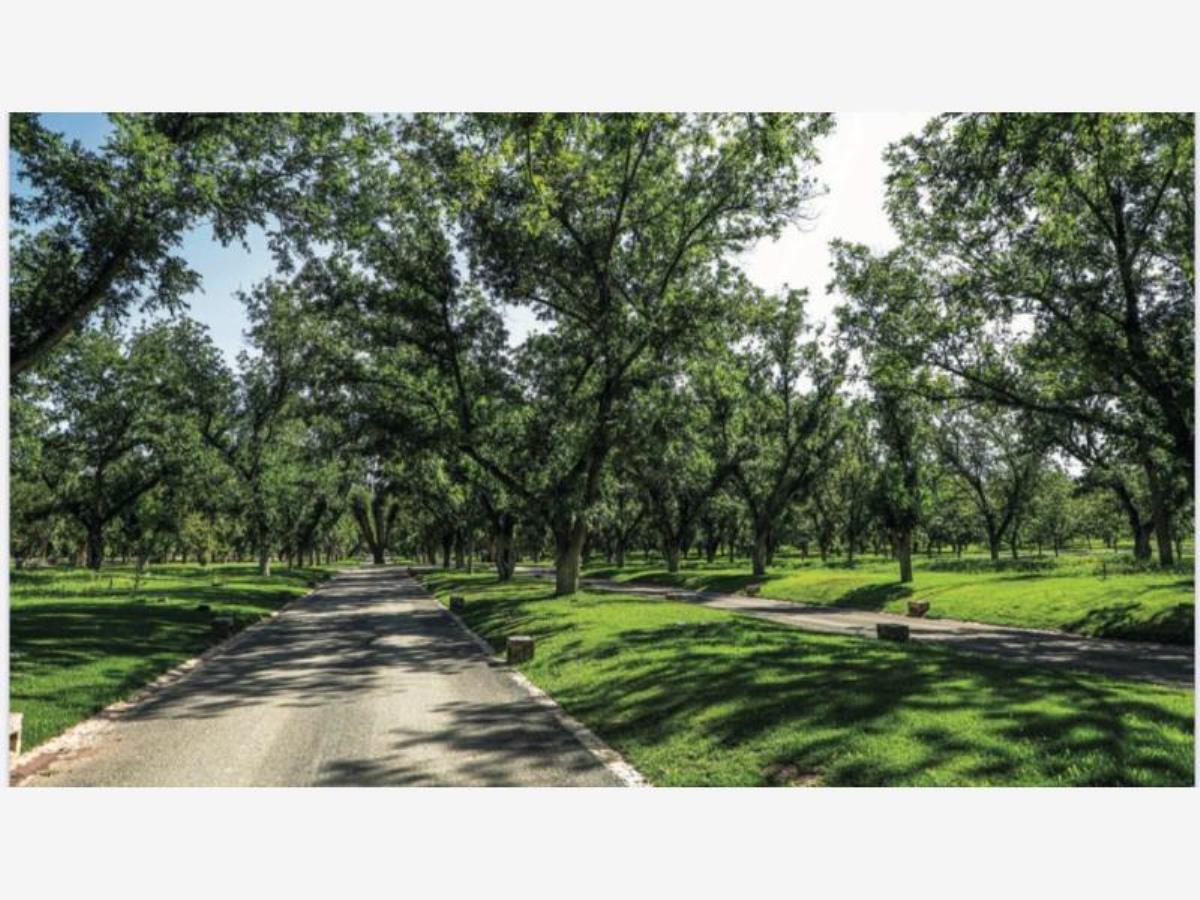 Terreno en Venta en Parras, Parras, Coahuila de Zaragoza
