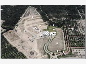 Terreno en venta en Parras, Parras — foto 3 de 4