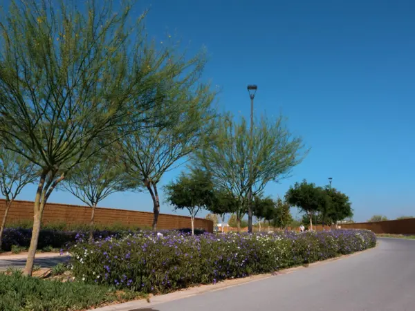 Terreno en venta en El Cardenchal, Torreón — foto 2 de 8