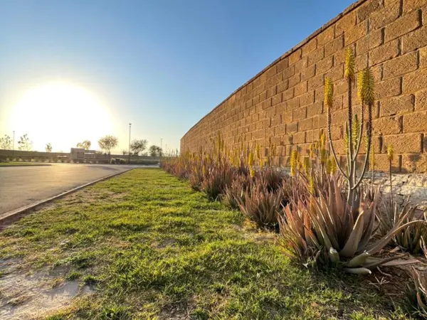 Terreno en venta en El Cardenchal, Torreón — foto 3 de 8