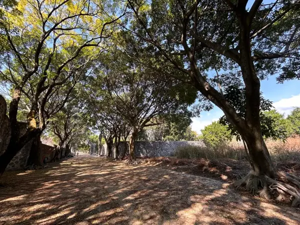 Terreno en venta en Lomas de Vista Hermosa, Cuernavaca — foto 3 de 15