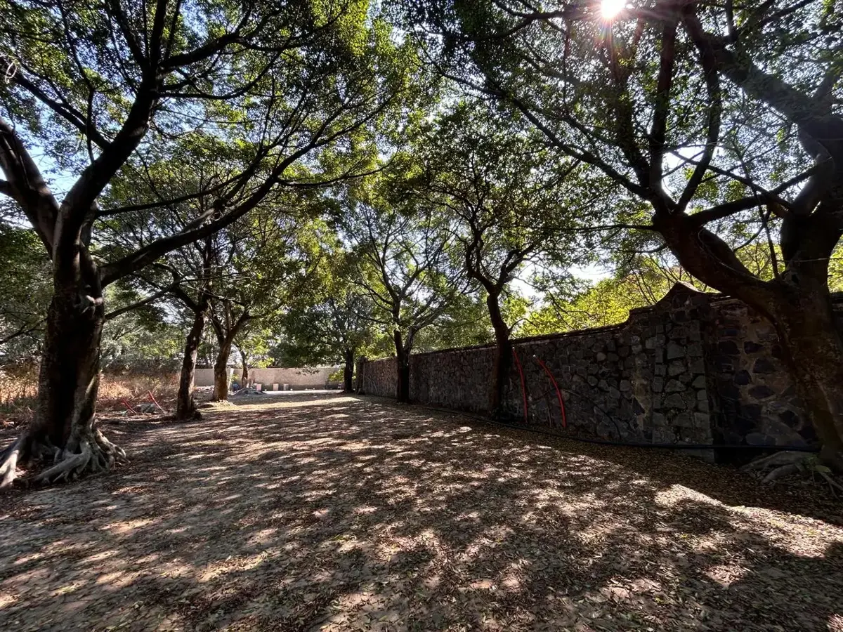 Terreno en venta en Lomas de Vista Hermosa, Cuernavaca — foto 1 de 15