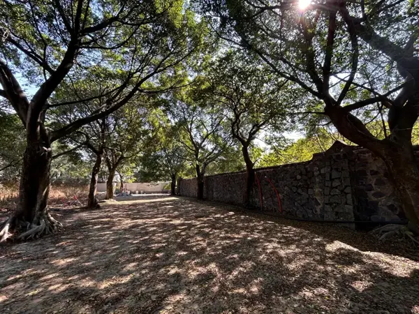 Terreno en venta en Lomas de Vista Hermosa, Cuernavaca, Morelos