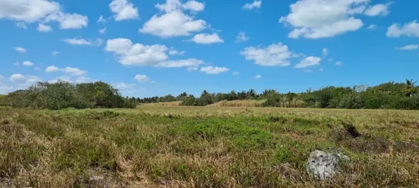 Terreno en venta en Champoton Centro, Champotón — foto 3 de 6