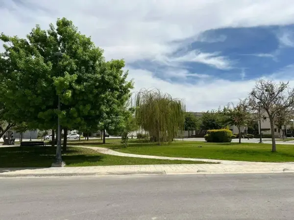 Terreno en venta en Residencial Alpes, Torreón — foto 2 de 4