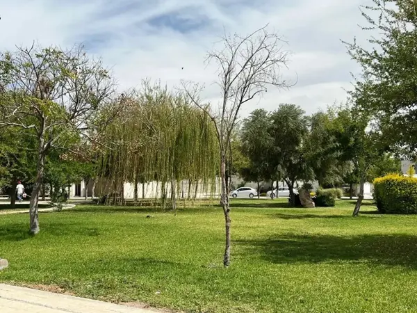 Terreno en venta en Residencial Alpes, Torreón — foto 3 de 4