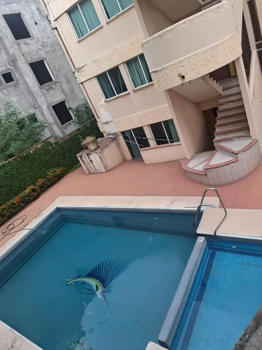 Departamento en renta en Playa de Oro Mocambo, Boca del Río — foto 1 de 25