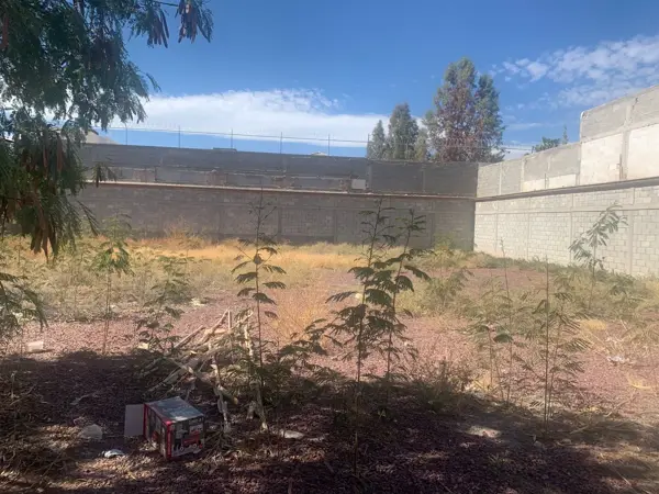 Terreno en venta en Residencial Galerías, Torreón — foto 3 de 3