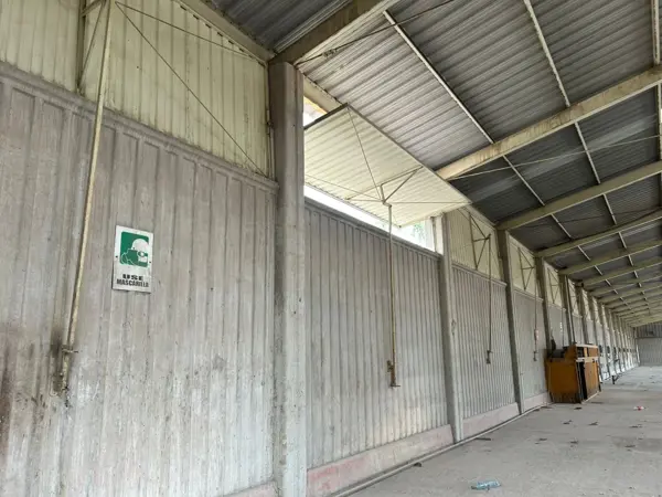 Bodega en renta en Pequeña Zona Industrial, Torreón — foto 3 de 7