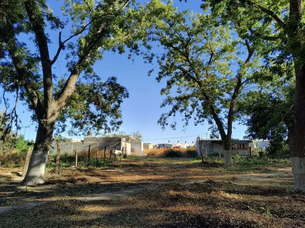 Terreno en Venta en Tacubaya, Parras, Coahuila de Zaragoza Terreno en Venta en Tacubaya, Parras, Coahuila de Zaragoza