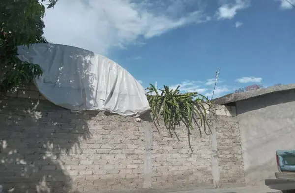 Casa en venta en Ignacio Manuel Altamirano, Yautepec — foto 3 de 4
