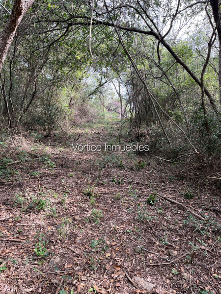 Terreno en venta en Las Margaritas, Santiago — foto 3 de 15