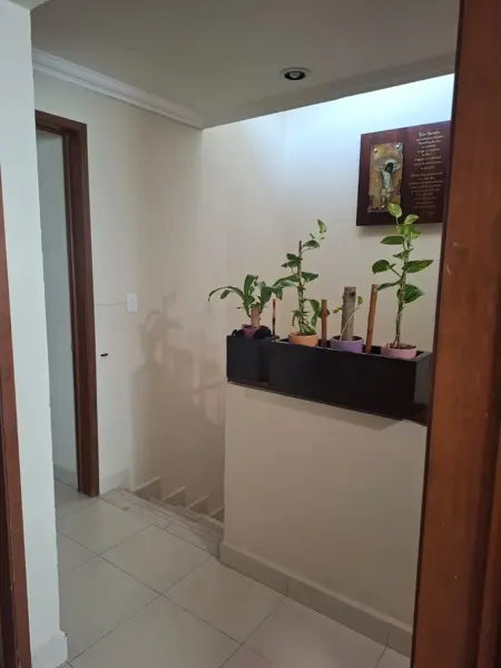 Casa en venta en Lomas de Trujillo, Emiliano Zapata — foto 3 de 12