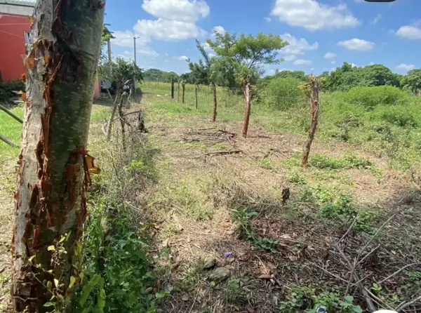 Terreno en venta en La Esperanza, Medellín de Bravo — foto 2 de 5