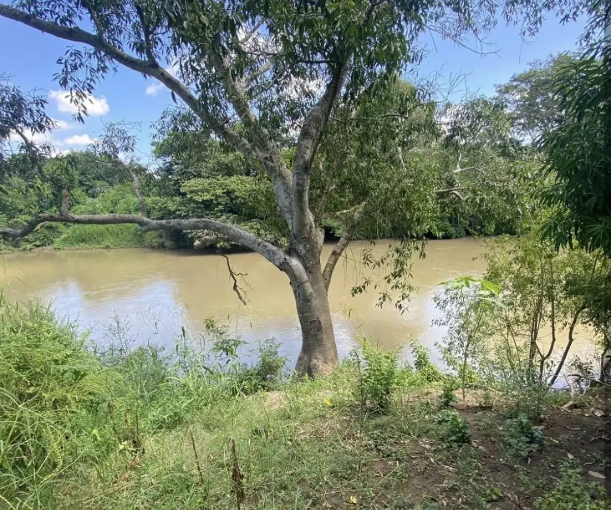 Terreno en venta en La Esperanza, Medellín de Bravo — foto 1 de 5