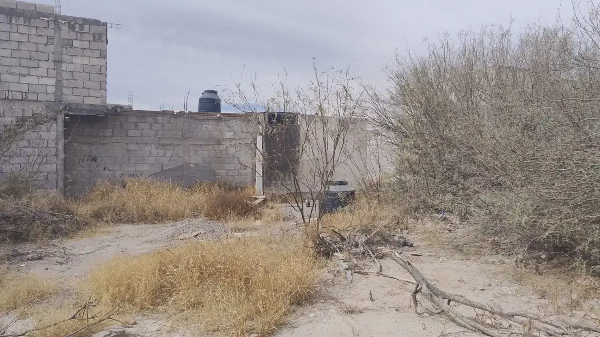 Terreno en venta en Jose Luz Torres, Torreón — foto 1 de 5