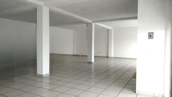 Local en renta en Los Dicios, San Martín Texmelucan — foto 2 de 6