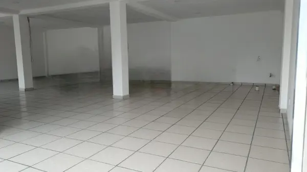 Local en renta en Los Dicios, San Martín Texmelucan — foto 2 de 6