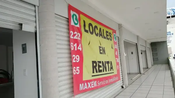 Local en renta en Los Dicios, San Martín Texmelucan — foto 3 de 6